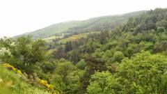 La Colline