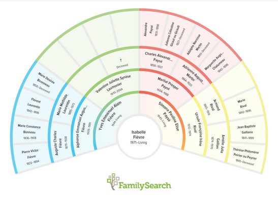 part of my genealogy