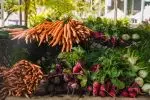 Vegetables directly from California Farmers